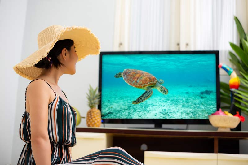 ご自宅やお好きな場所から楽しめるバーチャル旅行